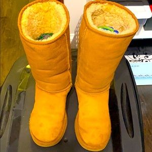 Authentic Uggs